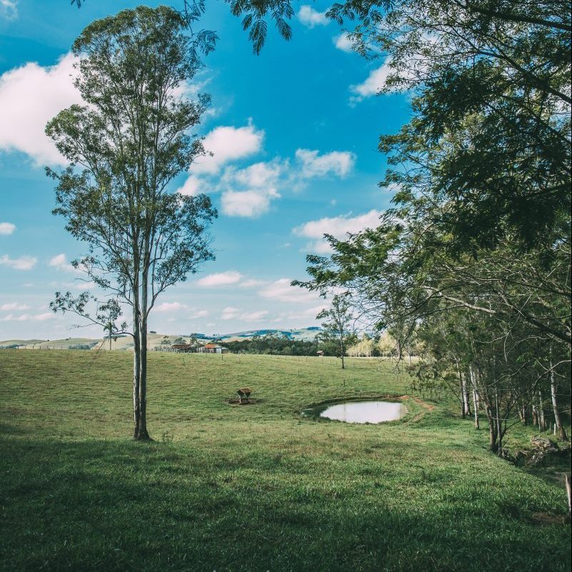 view of golf course green