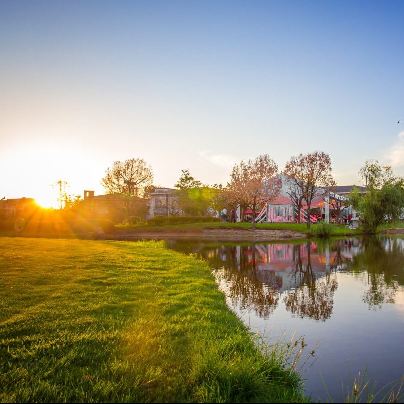 view of golf course